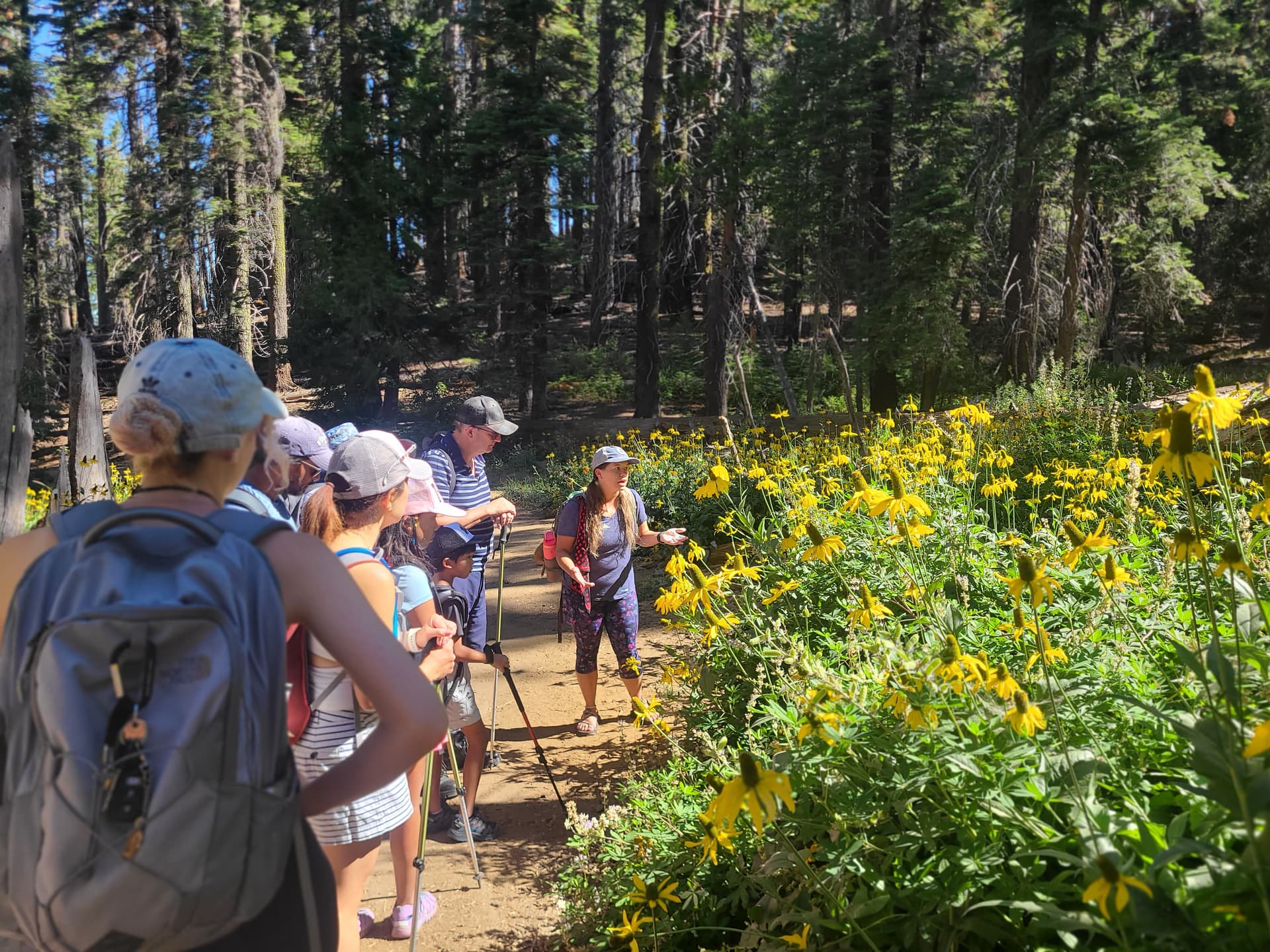 Link to Activity: Spring