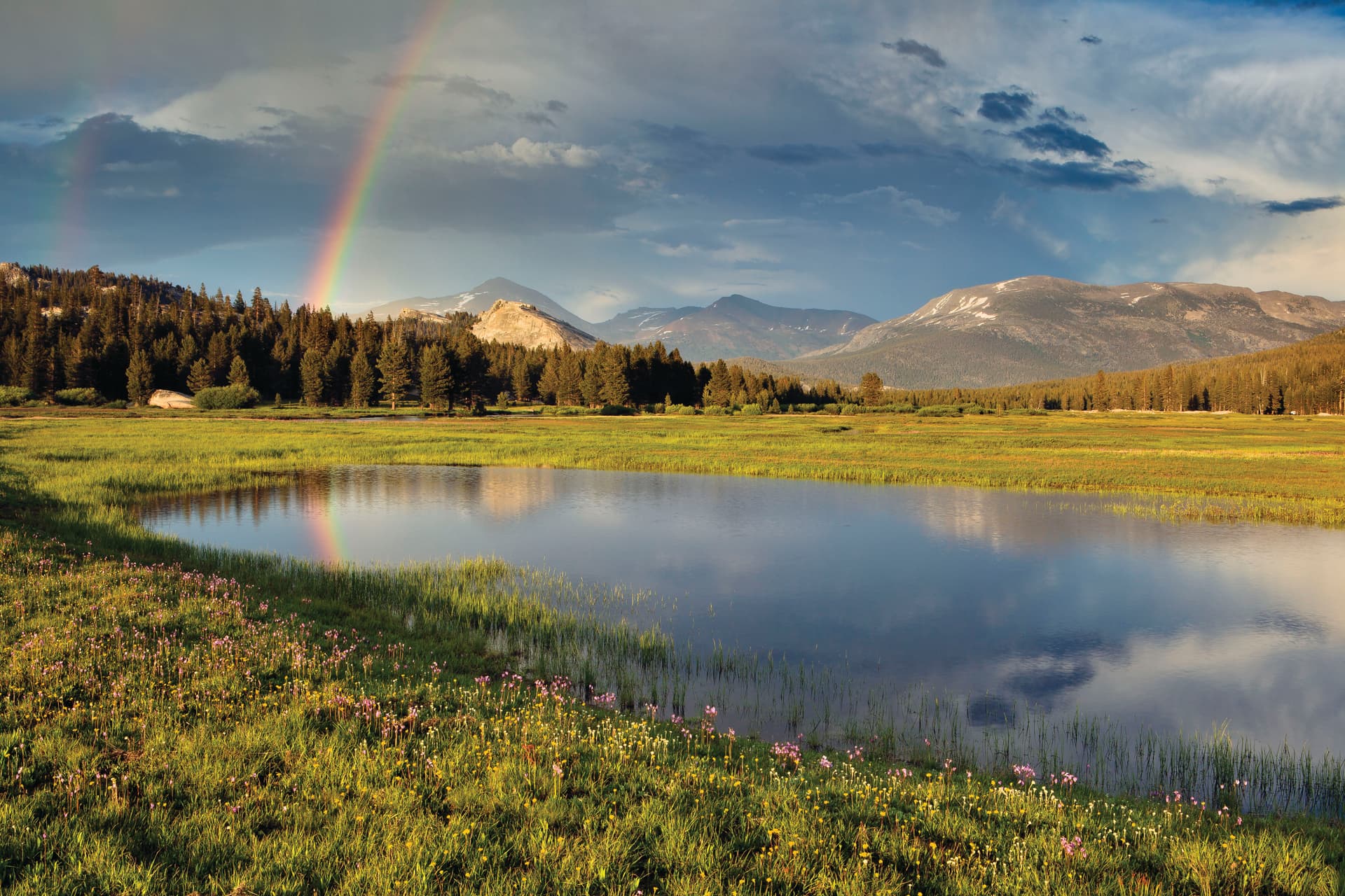 Link to Activity: Tuolumne Meadows