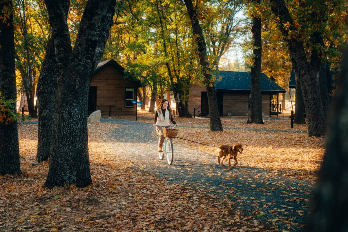 Link to Activity: Before You Book Your Pet-Friendly Yosemite Stay